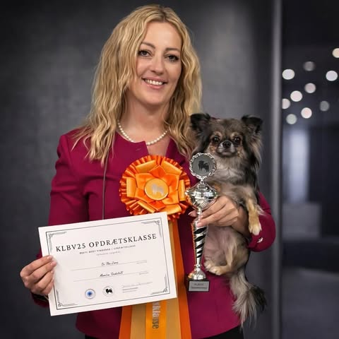 Oppdretter fra Kennel In The Zone med langhåret chihuahua, pokal og sløyfe